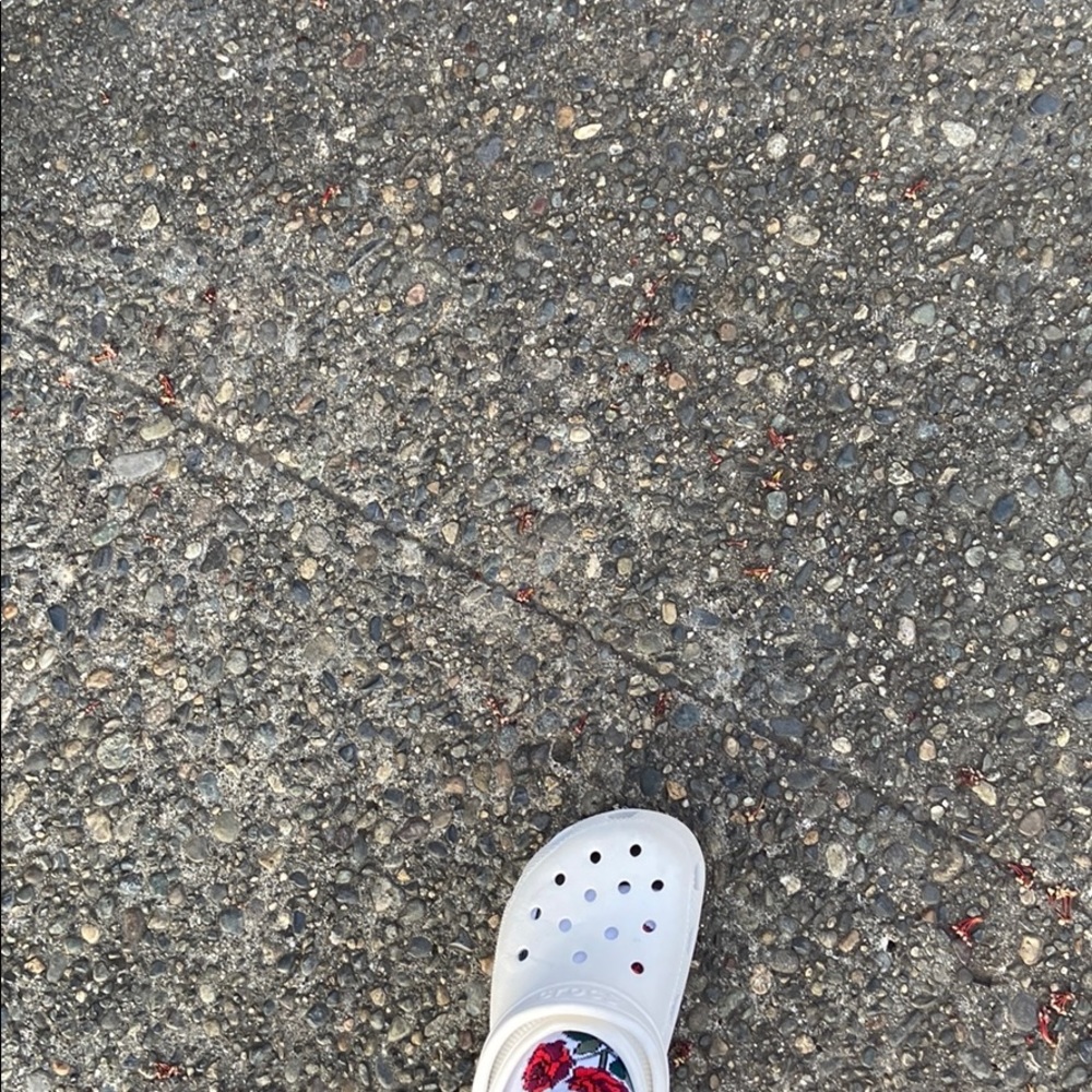 Meet your Posher, Jackson